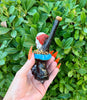 Crazy Clown Bamboo Ceramic Pipe