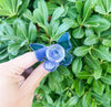 Beautiful Butterfly 14mm Glass Bowl
