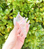 Clear iridescent sea shell hand pipe on green background with natural lighting