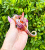 Fumed Seahorse Glass Hand Pipe