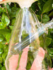 Izzy The Glassblower Rainbow Trout Heady Glass Water Pipe/Dab Rig