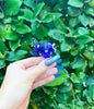 Blue Blowfish 14mm Glass Bowl