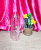 Summer Vibes Cactus Glass Water Pipe/Dab Rig
