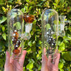 Mushroom Dome Mushroom Perc Glass Water Pipe/Dab Rig