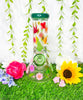 Green Rainbow Dried Floral Daisies Water Pipe/Bong