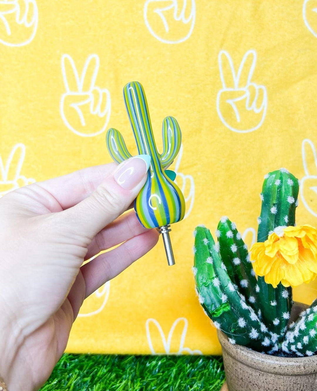 Cactus Nectar Collector