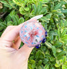Red Blue Hornet Head Glass Hand Pipe