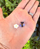 Daisy Flower and Bee Terp Pearl Set