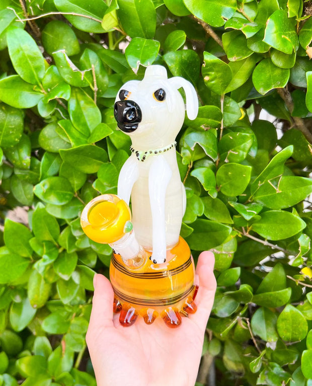 Dog Bong On Green Background
