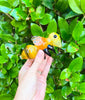 Honey Bee Glass Hand Pipe