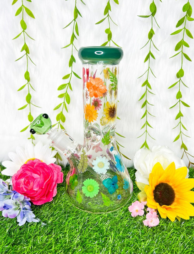 Green Rainbow Dried Floral Daisies Water Pipe/Bong