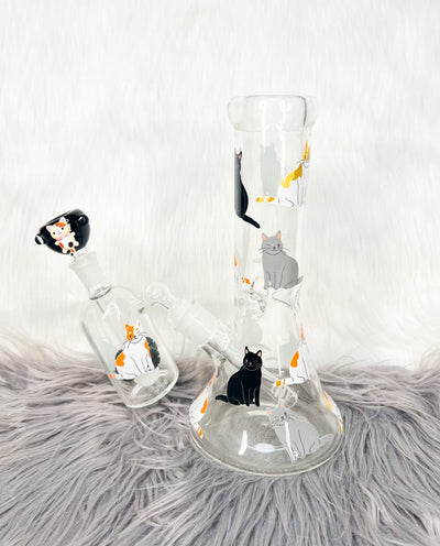Cuddly Cats 10in Glass Water Pipe/Bong