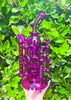 Fuchsia Princess Tower Recycler Glass Water Pipe/Dab Rig