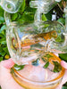 Lookah 17in Amber Dual Honeycomb Inline Perc Glass Water Pipe/Dab Rig