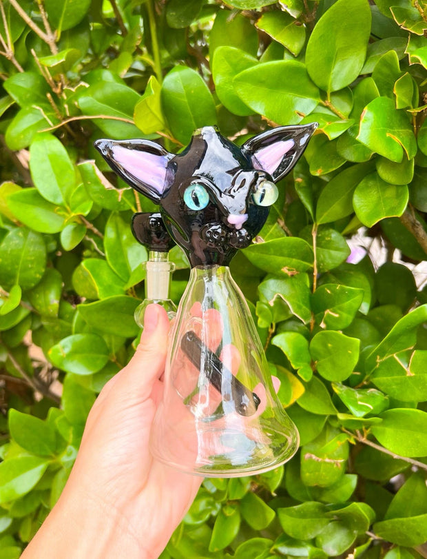 Izzy The Glassblower Black Cat Heady Glass Water Pipe/Dab Rig