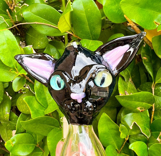 Izzy The Glassblower Black Cat Heady Glass Water Pipe/Dab Rig