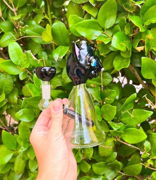 Izzy The Glassblower Black Cat Heady Glass Water Pipe/Dab Rig
