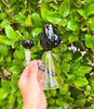 Izzy The Glassblower Black Cat Heady Glass Water Pipe/Dab Rig