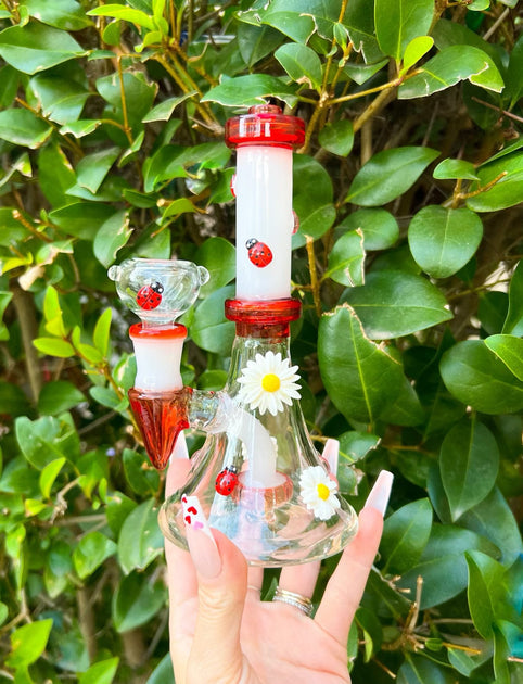 Red Ladybug Dab Rig Glass Water Pipe For Sale|StayLit Design