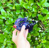 Blue Scorpion Glass Hand Pipe