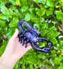 Blue Scorpion Glass Hand Pipe