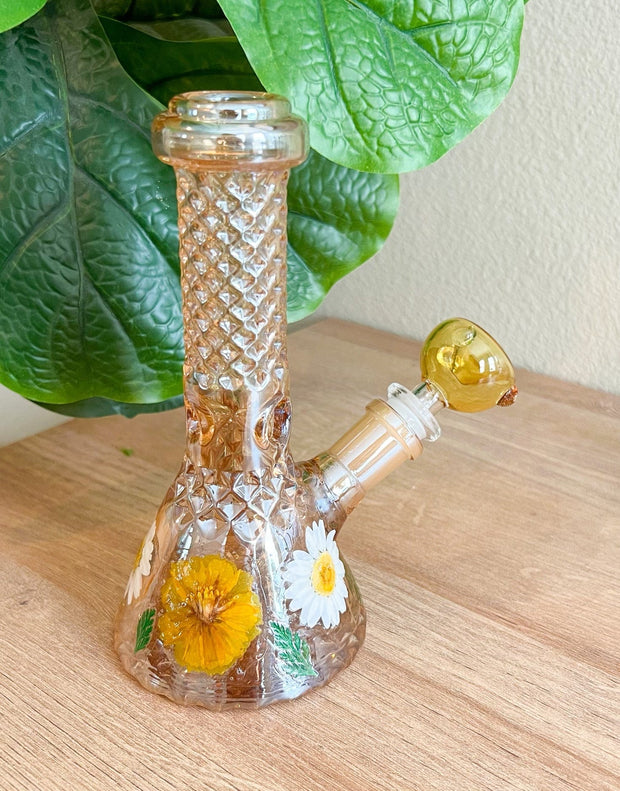 Amber Crystal Dried Floral Daisies Water Pipe/Bong