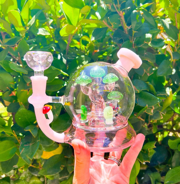 Bonsai Fungi Planetarium Glass Water Pipe/Dab Rig