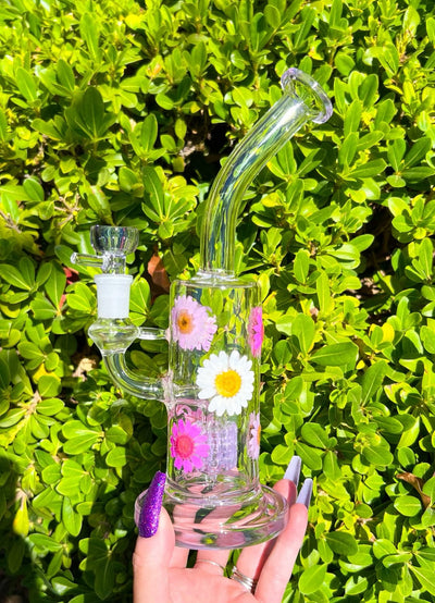 Purple Pink White Dried Floral Daisies Water Pipe/Dab Rig