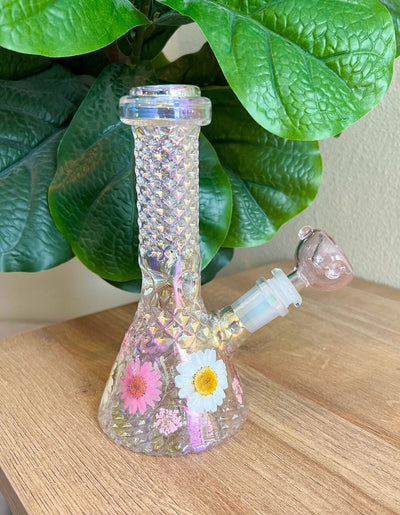 Iridescent Crystal Dried Floral Daisies Water Pipe/Bong