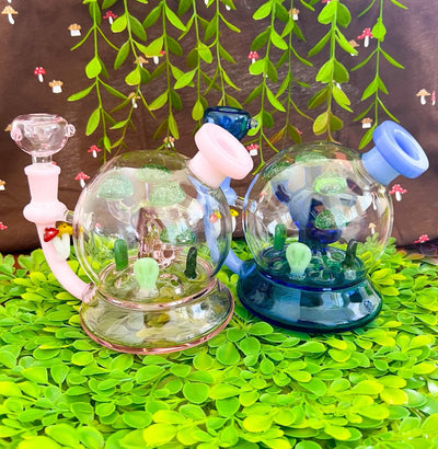Bonsai Fungi Planetarium Glass Water Pipe/Dab Rig