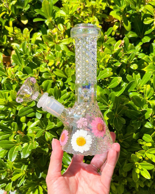 Iridescent Crystal Dried Floral Daisies Water Pipe/Bong