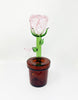 Pin rose pot dab rig on white background
