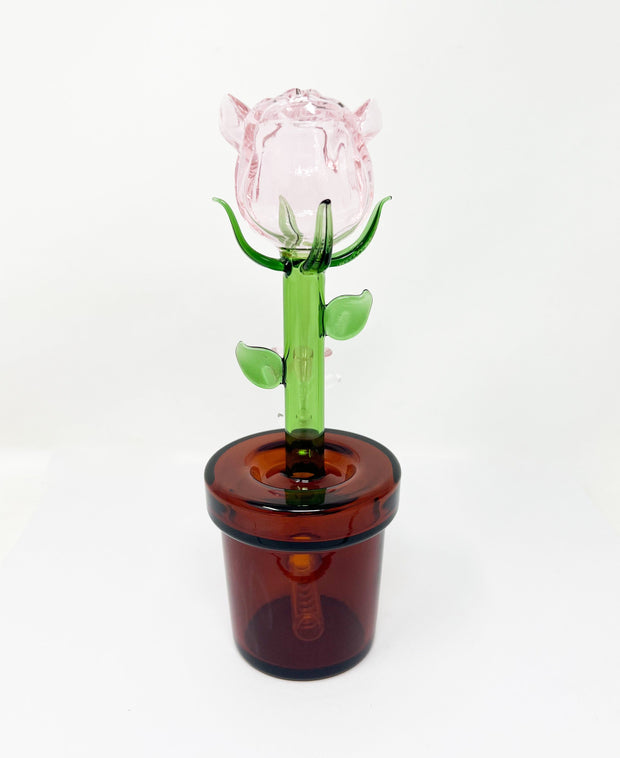 Pink rose pot dab rig with brown base white background