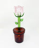 Pink rose pot dab rig with brown base white background