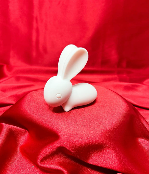 Cute Rabbit Pocket Vibrator