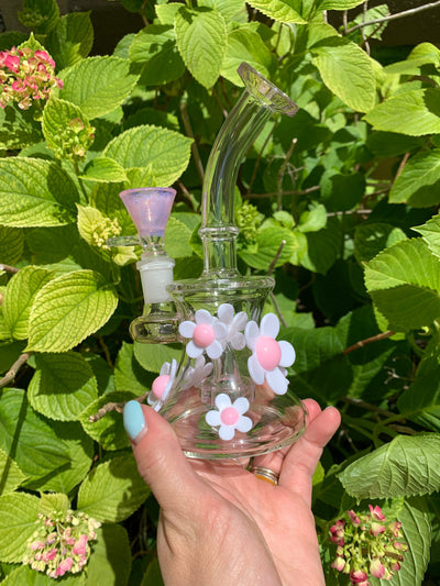 Pink Daisies 6in Glass Water Pipe/Dab Rig