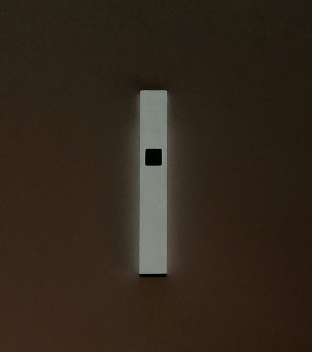 PlugPlay Matte Pink Glow In The Dark Battery Starter Kit