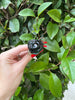 Black Rose Dab Tool