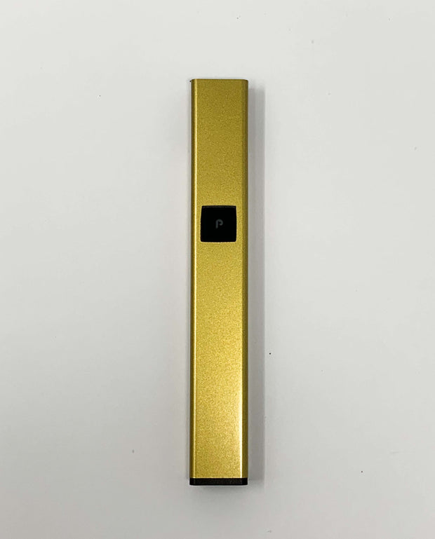 PlugPlay Metallic Gold Battery Starter Kit
