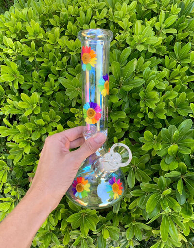 Rainbow Daisy Dried Floral Iridescent 10in Glass Water Pipe/Bong