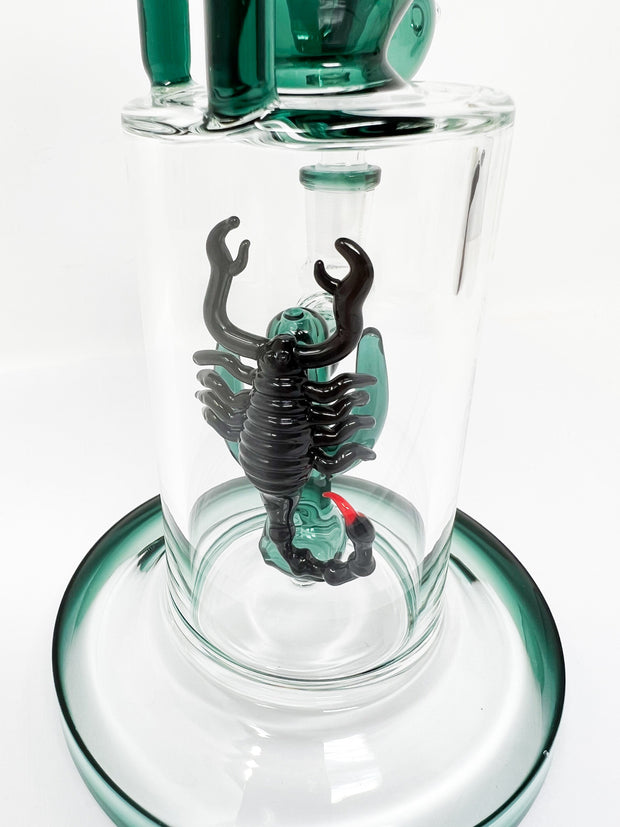 scorpion perc closeup